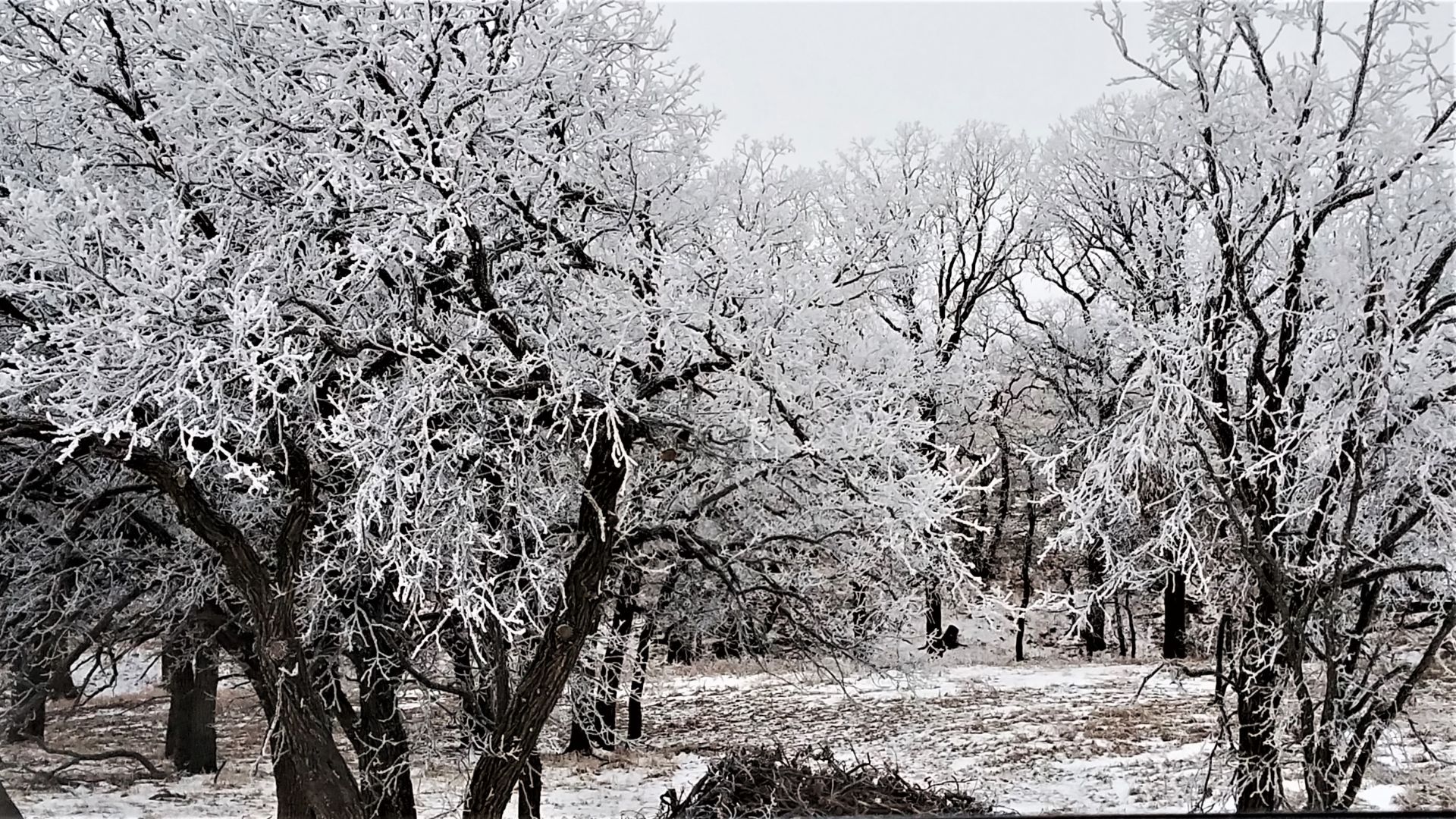Sertoma Park